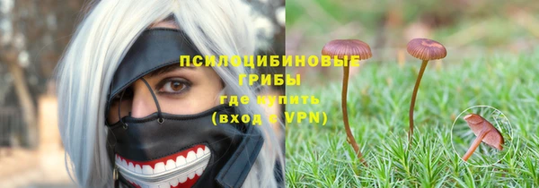 стаф Надым