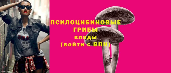 сатива Наволоки