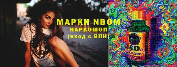 стаф Надым