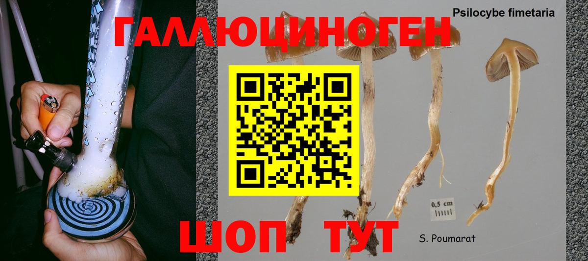 Галлюциногенные грибы ЛСД Лангепас
